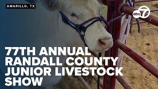 Randall County youth showcase skills on day one of the 77th annual junior livestock show