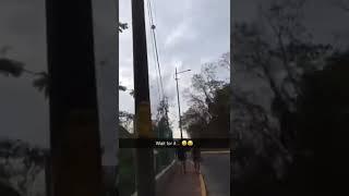 Smart people doing dumb things 