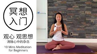 【10分钟冥想入门 | 观心 观思想】消除心中的杂念 提高注意力 10 Mins Meditation for Beginners | How to Eliminate Thoughts?