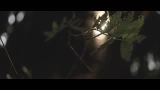 LIGHTS OF NATURE | MiLa Production