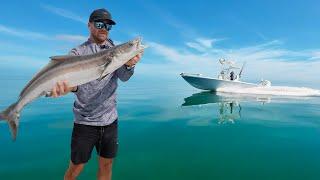 200 Mile Offshore Fishing Trip! | Slick Calm Aquarium Surrounded by Fish!