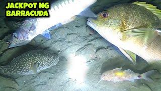 Night Spearfishing Catch & Cook ng Fresh Seafoods