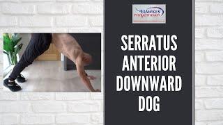 Serratus Anterior downward dog: Technique video