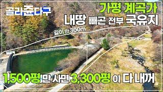 (강추 296) 가평 계곡가 낚시터 토지 1,500평 만 사면 실 사용 3,300평이 다 내꺼 / 국유지에 둘러 싸인 막다른 시크릿한 입지 배타적 점유 사용