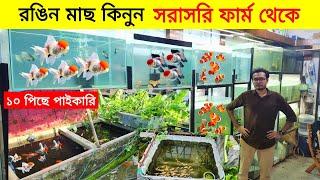 Aquarium Price In Bangladesh 2024 Aquarium Fish Price In Bangladesh Fish Farm In Mirpur