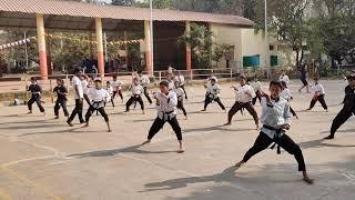 CHAN'S KUNG FU SCHOOL - Kids Kung Fu training session in our school