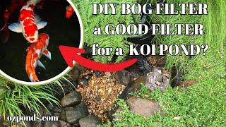 Is a Bog Filter a Good Filter for a Koi Pond?