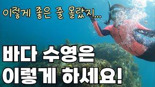 바다수영 입문 방법과 바다수영 방법 / 슈트 입는 방법 / 동해바다 바린이 바수 도전기