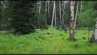 BY WAY OF: Cedar City and Brian Head, Utah