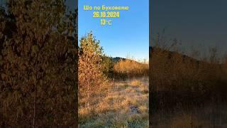 Сальто погоди / Погода в Буковелі / Bukovel weather #morningmusic #altj #morningmood  #yellow