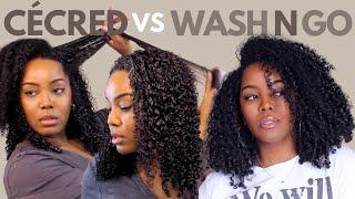 Will Cécred Transform My Wash N Go? | Beyoncé Cécred | Moisture Sealing Lotion | Natural Hair