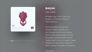 Däli Däde - Saçak