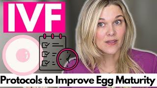 Understanding Egg Maturity and Protocols to Improve IVF Outcomes