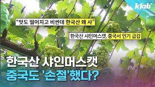 "처음엔 안 이랬는데"…샤인머스캣 맛이 변한 진짜 이유｜크랩