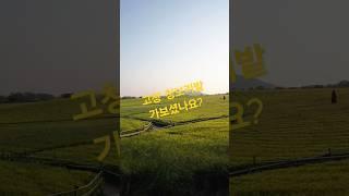 고창 청보리밭에서 벌어진 사건