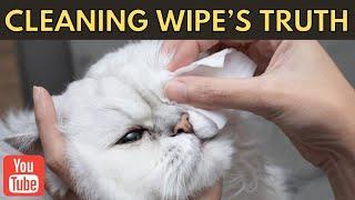 Are Cleaning Wipes Safe for Pets | Cats Facts