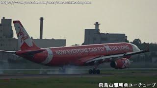 [朝の成田] Thai AirAsia X Airbus A330-300 HS-XTE landing @ Narita RWY16L [September 17, 2023]