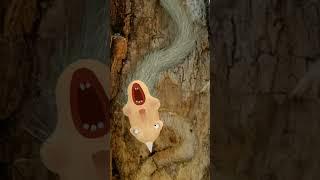 The Worm
