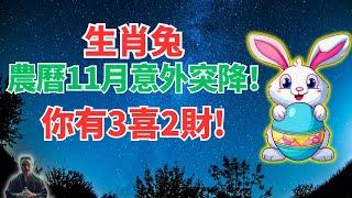 生肖兔！農曆十一月12月1日~30日，意外好運來襲，你有躲不過的3喜2財！是什麼？接！ #2024年生肖兔運勢 #2024年生肖兔運程 #2024年屬兔運勢 #屬兔運程