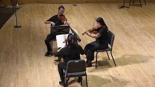 String Chamber Music