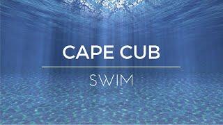 [LYRICS] Cape Cub - Swim