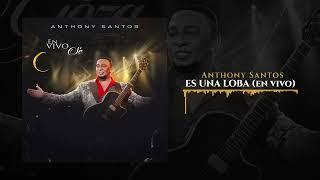 Anthony Santos - ES UNA LOBA (En Vivo)