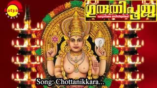 Chottanikkara Amme | Guruthipooja | Ganesh Sundaram | M.G Anil | Narayanan Palaghat