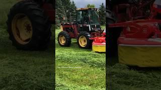 VERSATILE 276 Tractor Mowing Hay #bigtractorpower #versatiletractor #tractor #automobile #hay