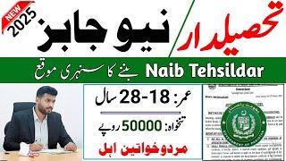 how to apply for Naib Tehsildar Jobs 2025 | JobsOfficial com