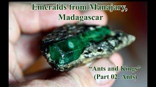 Emeralds from Mananjary Madagascar: "Ants and Kings" (Part 02: Ants)