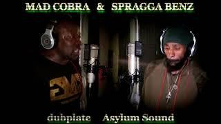 MAD COBRA & SPRAGGA BENZ dubplate {Asylum Sound} @ dainjamentalz u$a 4