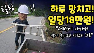 새벽 5시 출근!오늘도 인력 현장 풀코스 달립니다!#홍반장#홍기사