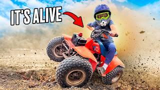 Reviving The Old Toys... Will The Off-Road Machines Ever Run Again?