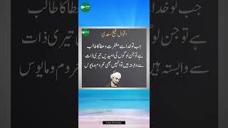 Hikayat E saadi | moral stories | #hikayaturdu #shortvideo #viralvideo #vtuber #fyp #top #quotes