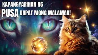 KAPANGYARIHANG Hatid ng PUSA sa 2025!