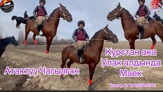 Атактуу Чагылгандын ээси Курстан ака менен Улак алдында маек.