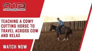 Teaching A Cowy Cutting Horse To Travel Across Cow And Relax