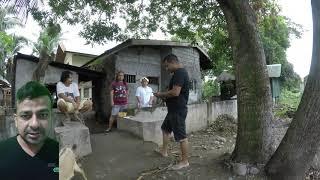 HALAL way to Slaughter goat (explaining my  Christian Filipino brother)Philippines@pakinphl