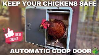 Keep Your Chickens Safe with the Omlet Smart Automatic Coop Door | Easy Installation & Wi-Fi Control