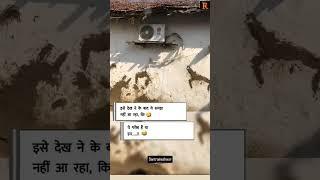 pata nahi ise gareeb kahe ya kuch or samajha #shorts #viral