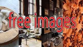 4 Websites with  Royalty Free Images #shorts