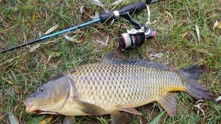 Сазан на ультралайт. Catching wild river carp by ultralight spinning