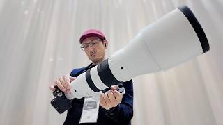 The BIGMA 300-600mm F4 hands on