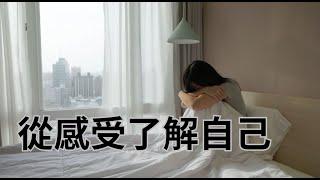 【Seth知識】從感受了解自己