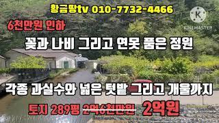 영덕바닷가주택 꽃과 나비 물고기 노니는 터 넓은 전원주택 강구항 15분 조용한 위치