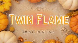 Twin Flame Tarot Reading | Past + Present + Future | Different approaches leads to transformation