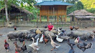 "After many years of building a life alone, I have reaped the rewards with many pets"