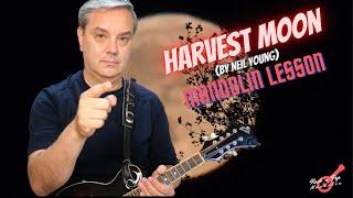 Harvest Moon (Neil Young) - Mandolin Lesson #rockpopmandolin