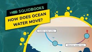 How Does Ocean Water Move? | Video by SquidBooks