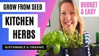 Grow Herbs from Seed:  Super Easy Detailed Tutorial to Grow Kitchen Herbs Bio Sponge or in Pots